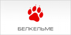 Белкельме - белоруский производитель обуви